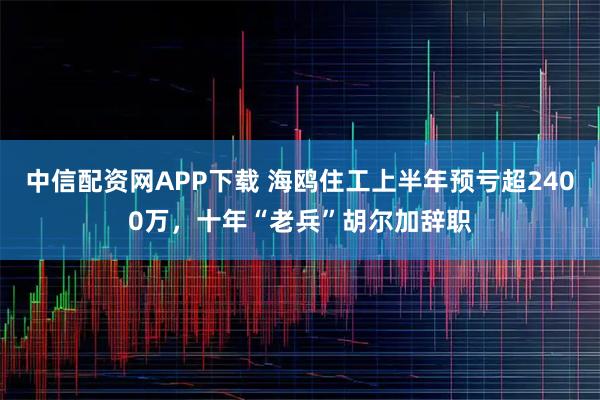 中信配资网APP下载 海鸥住工上半年预亏超2400万，十年“老兵”胡尔加辞职